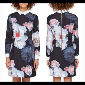 Ted Baker Kaleesa Chelsea Flower Dress Size 2